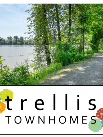Trellis Townhomes – Plans, Availability, Prices