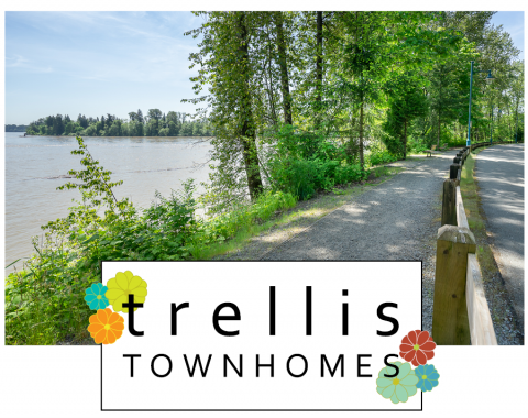 Trellis Townhomes