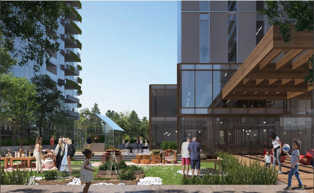 The condo courtyard will consist of a shade garden to create intimate social spaces.