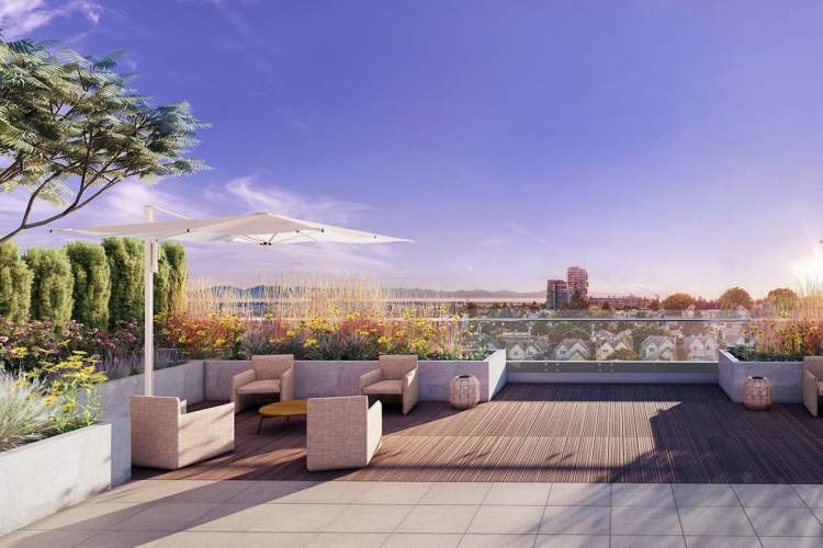 Residents will enjoy the sweeping view from Oakmont's shared roof deck.