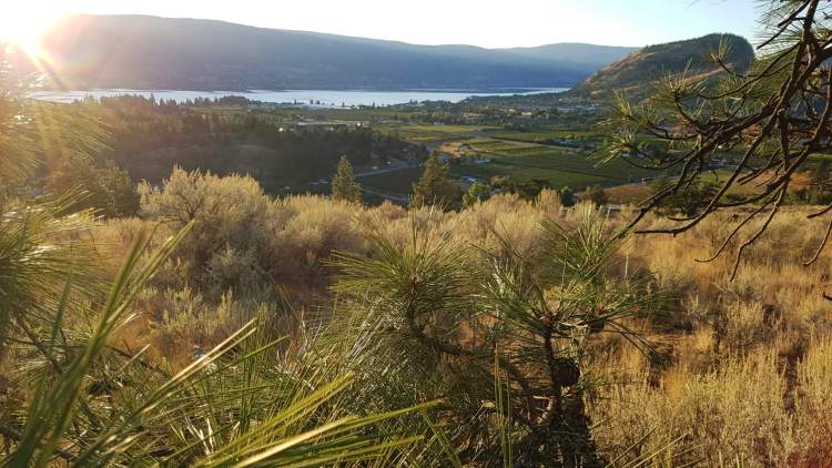 View of Okanagan Lake from Hunters Hill.